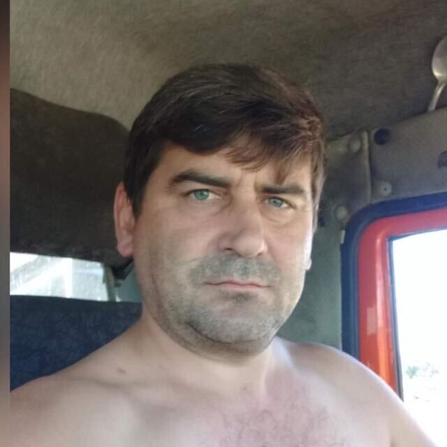  46334308  , 44 ,    