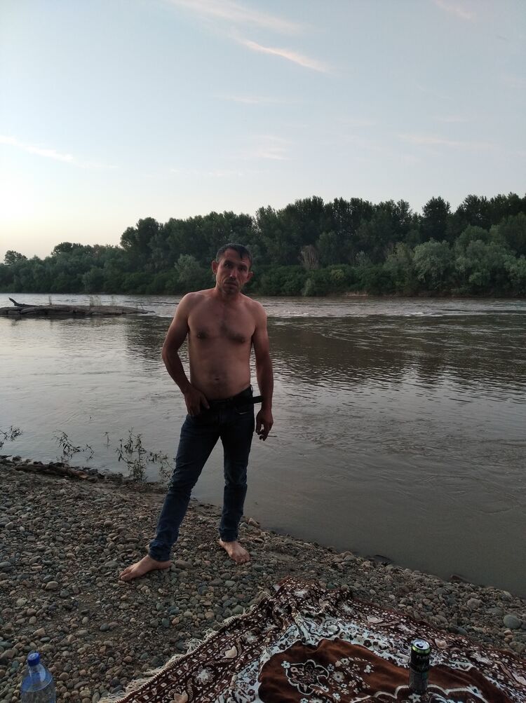  24193888  , 43 ,    