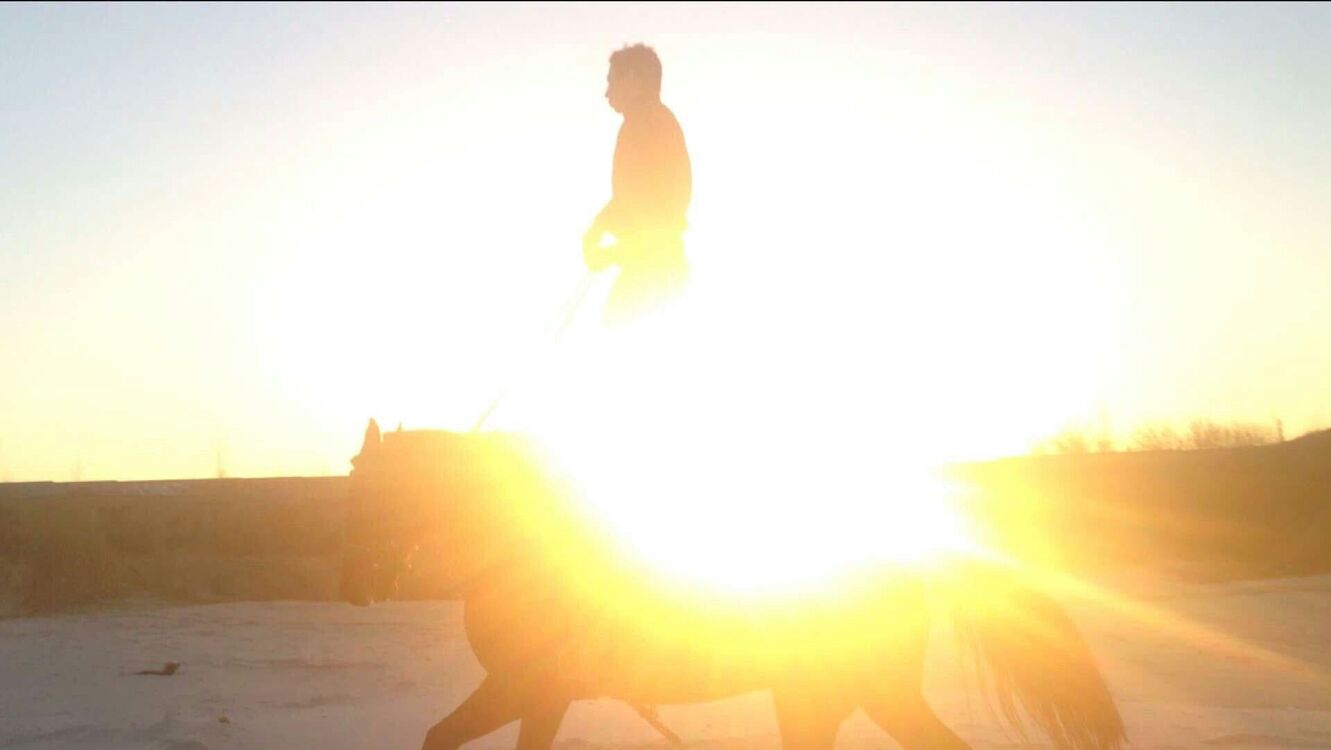 ���������� ������, ���� ������� ����, 31 ���, ������������ ��� ������, ����� � ���������, c�������� ���������, ���������