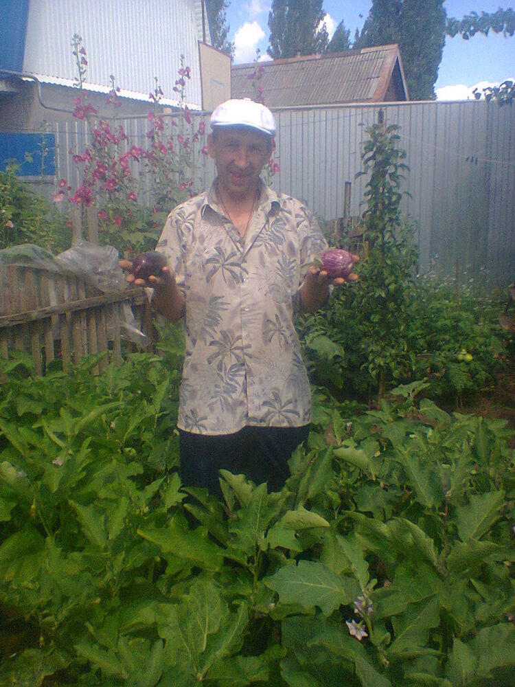 ���������� �������, ���� ������� �������, 51 ���, ������������ ��� ������, ����� � ���������, c�������� ���������