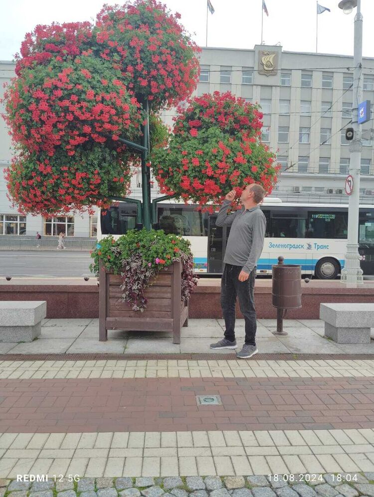 ���� 47352678 ������� ���������, 33 ����, ���� ���������� � �������