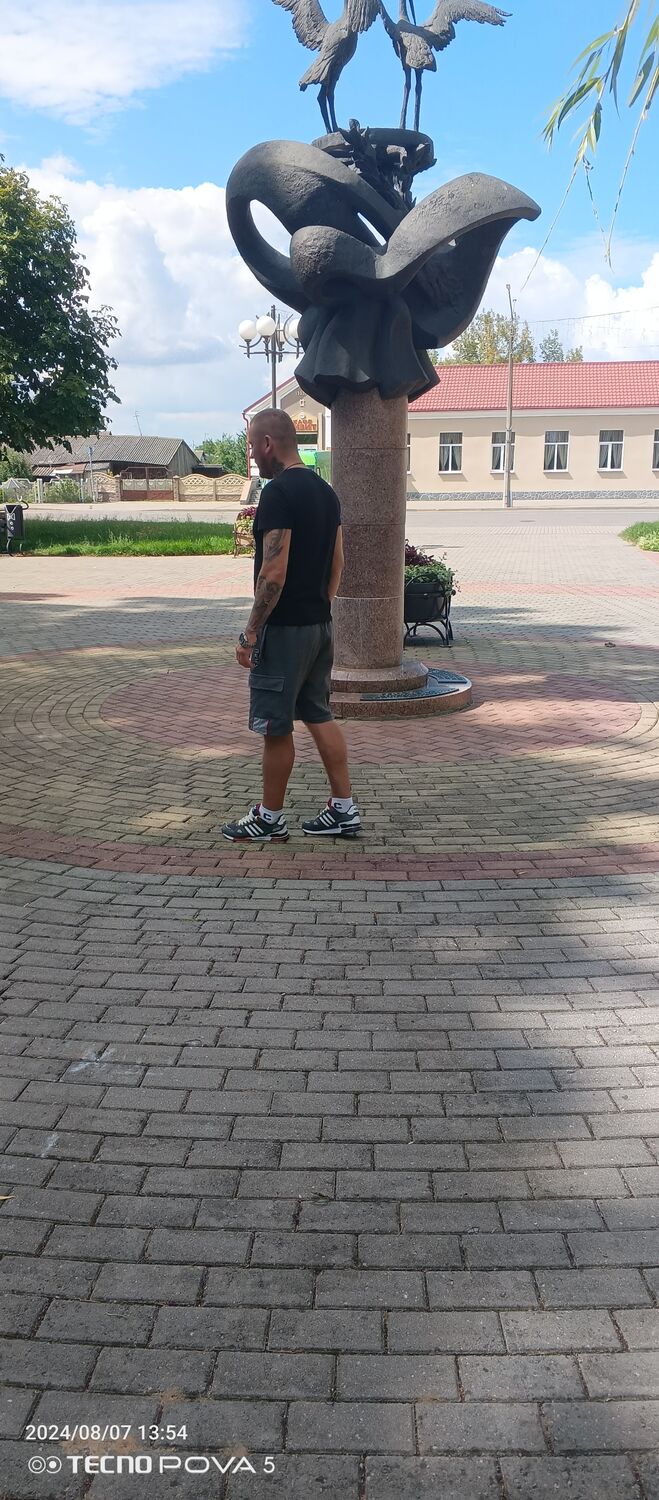  47388358  , 36 ,    