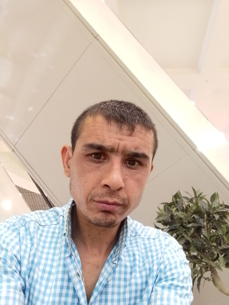  49299438  , 33 ,    