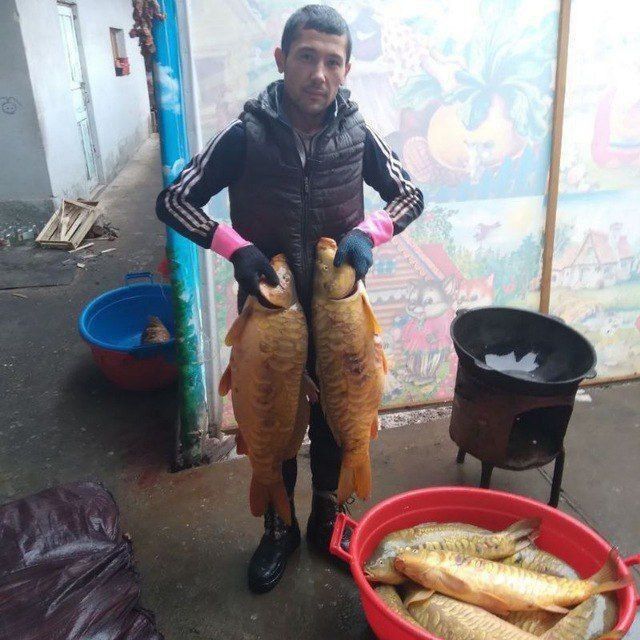 ���������� �������, ���� ������� �����, 29 ���, ������������ ��� ������, ����� � ���������