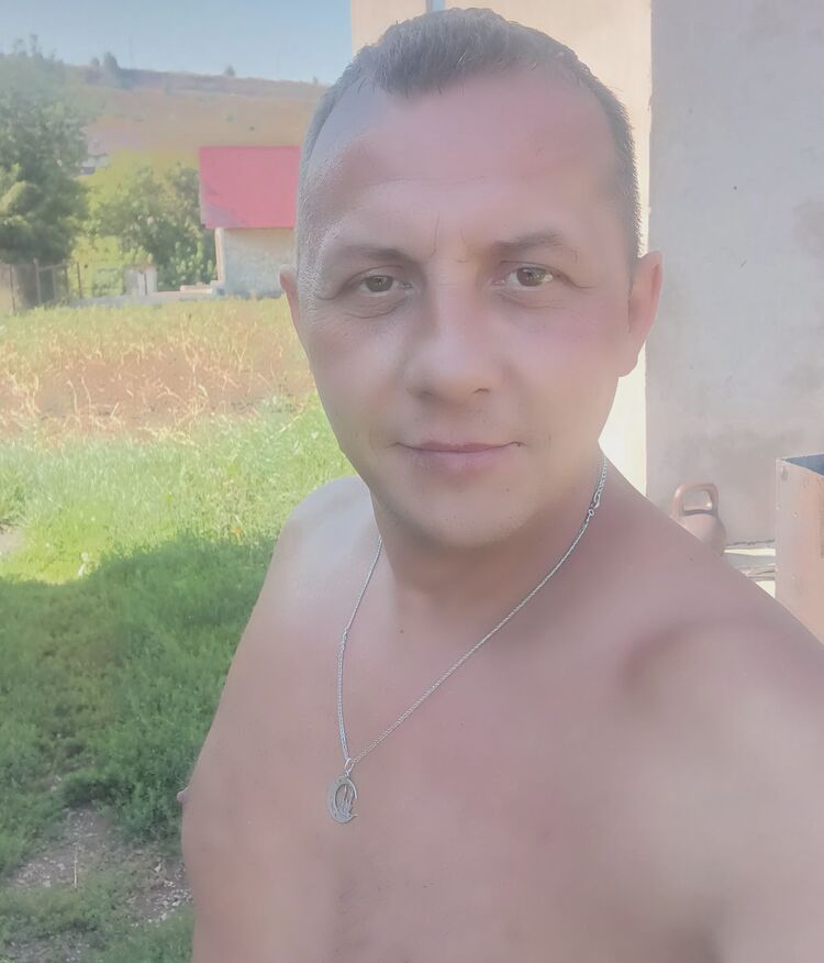  53517308  , 41 ,    