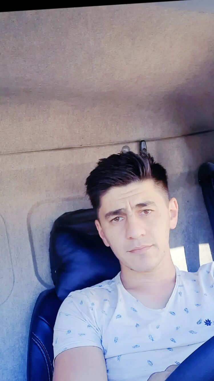  46231438  , 31 ,    