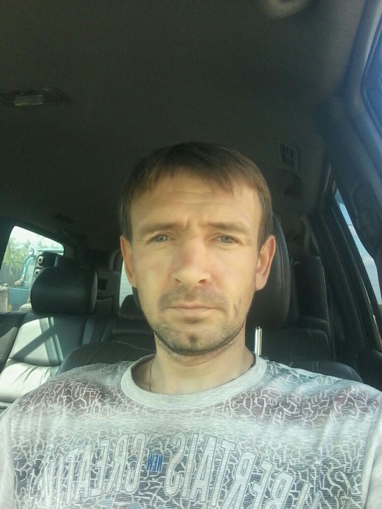  39139618  , 41 ,    
