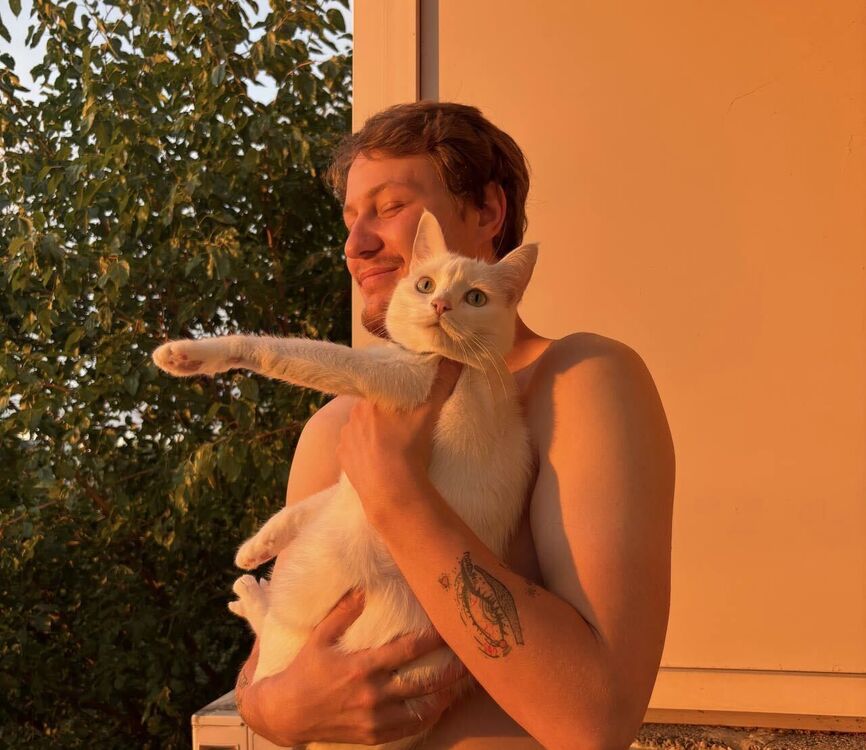 ���� 55895168 ����� �����, 22 ����, ���� ���������� � ����������