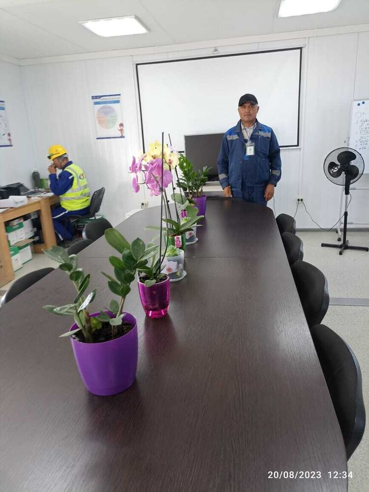 ���� 41509578 ������� �����, 54 ����, ���� ���������� � �����-����������