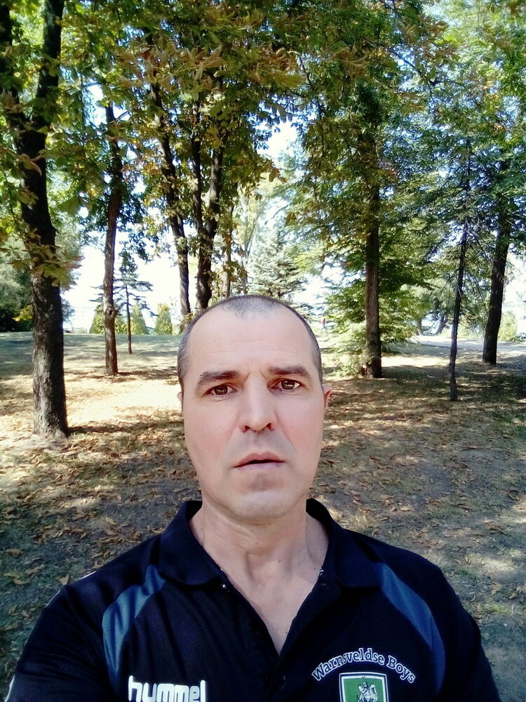  17952238  , 49 ,    