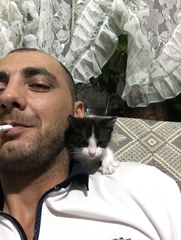 ���������� ������, ���� ������� �����, 40 ���, ������������ ��� ������, ����� � ���������