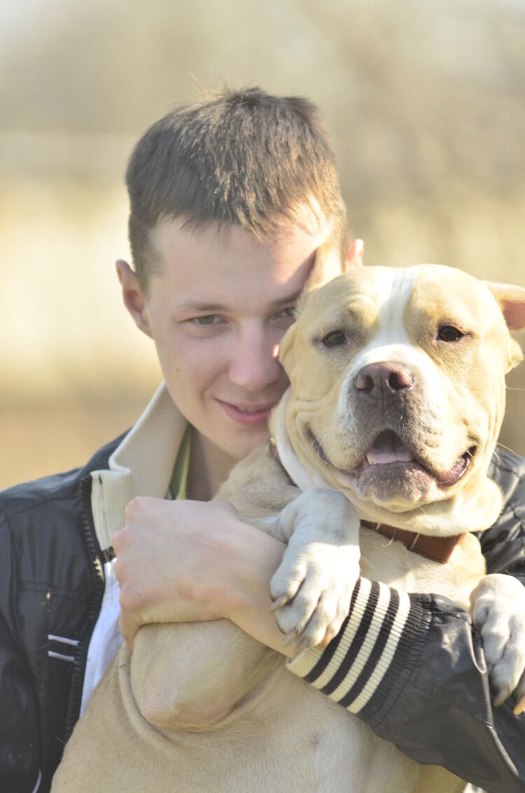 ���� 11764238 ������� �����, 36 ���, ���� ���������� � ��������