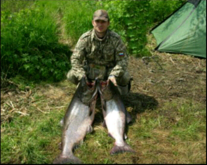 ���� 10577758 ������� ����, 49 ���, ���� ���������� � ������ ���������