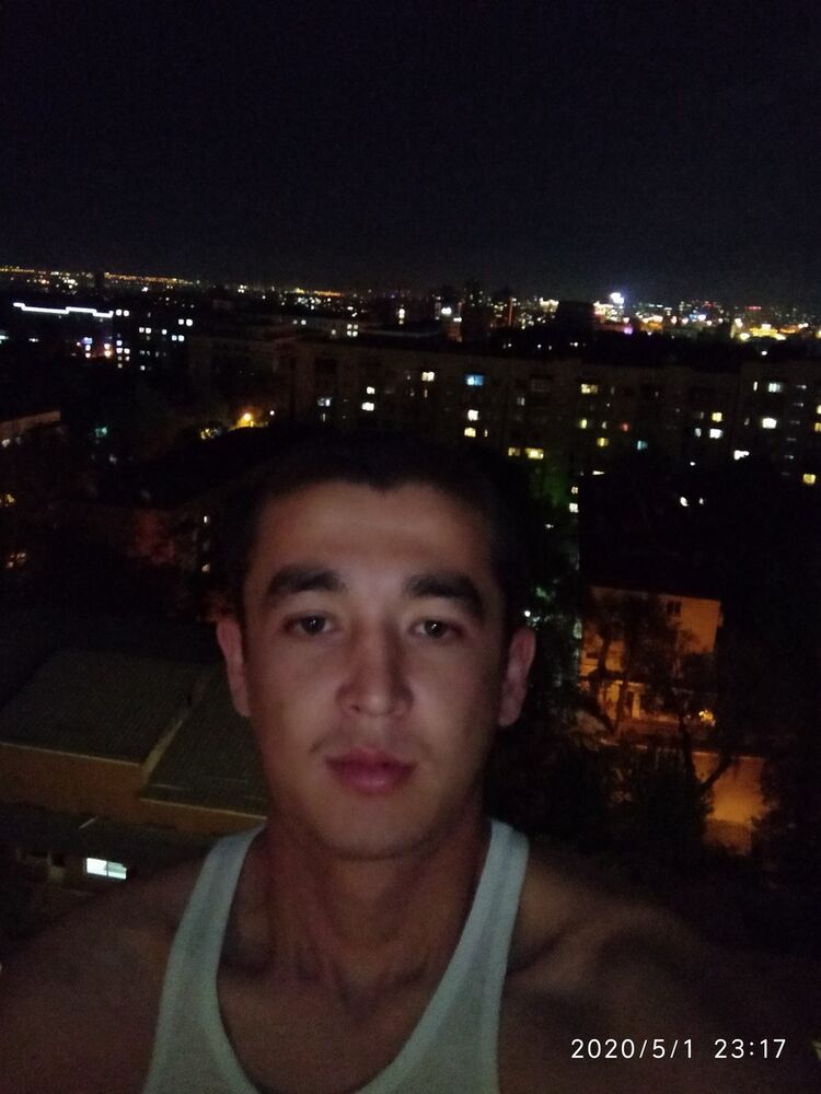  19843808  ELBEK, 33 ,    