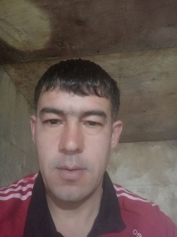  33016708  , 43 ,    