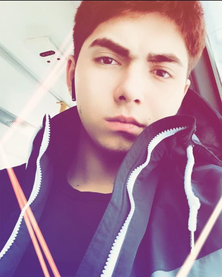 ���� 39856288 ����� �������, 24 ����, ���� ���������� � ������