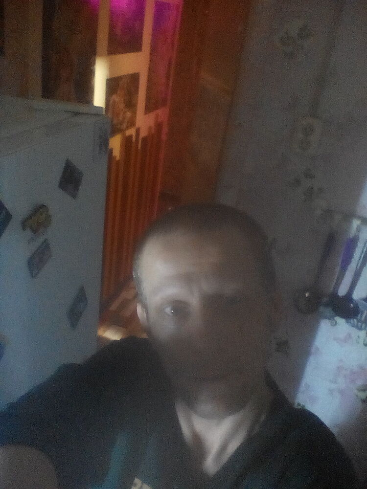  31334218  , 38 ,    