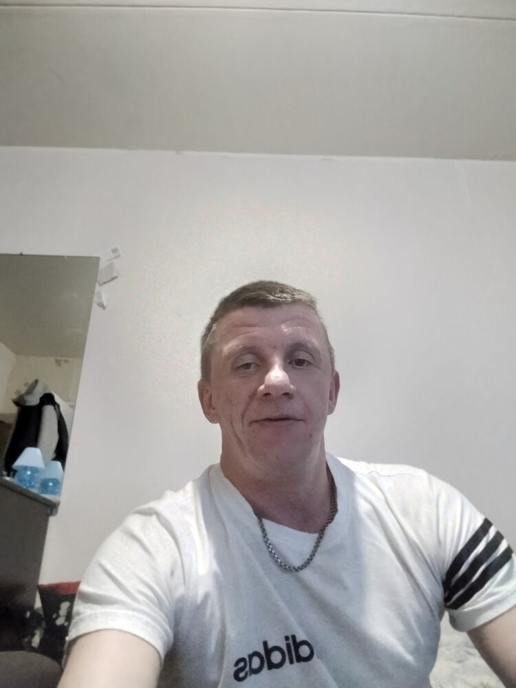  43193918  , 44 ,    