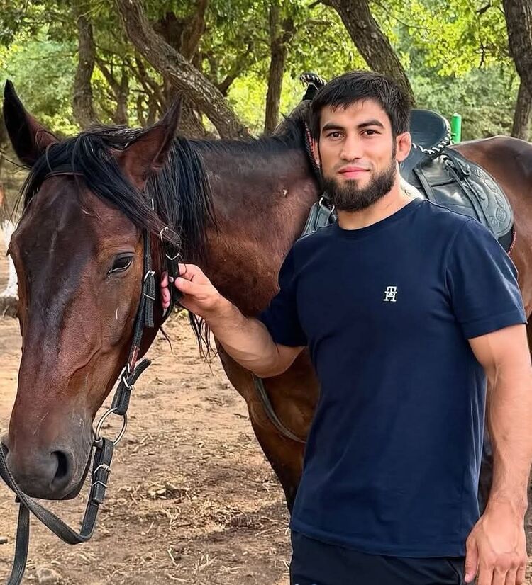 ���������� �����������, ���� ������� Bars mm, 33 ����, ������������ ��� ������, ����� � ���������, c�������� ���������, ���������