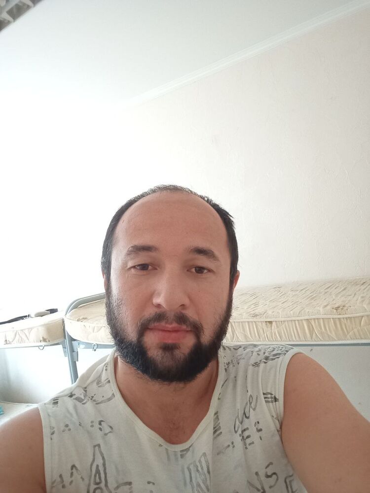 45712568  , 31 ,    