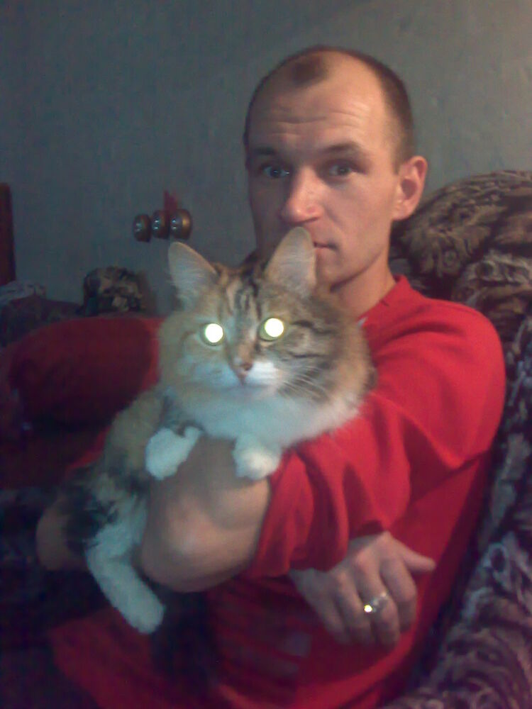 ���������� ����, ���� ������� ������, 45 ���, ������������ ��� ������, ����� � ���������, c�������� ���������, ���������