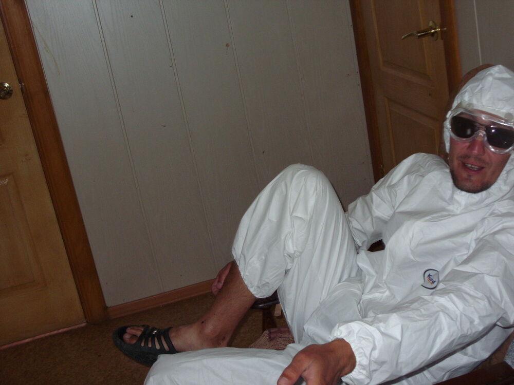 ���� 4962218 ������� Koss, 42 ����, ���� ���������� � �����