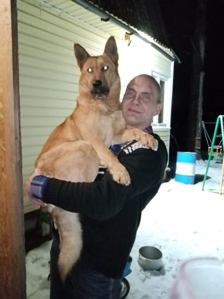  33777418  , 50 ,    -