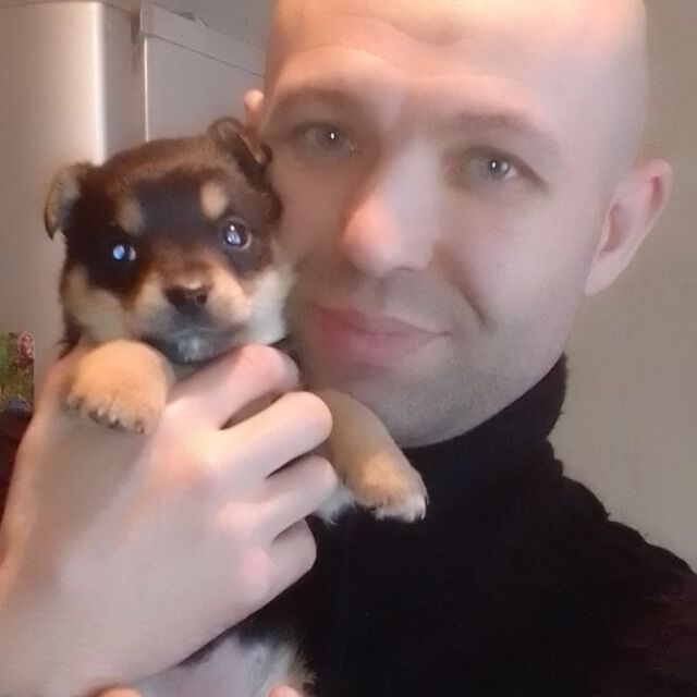 ���������� �����������, ���� ������� ������, 37 ���, ������������ ��� ����� � ���������, c�������� ���������