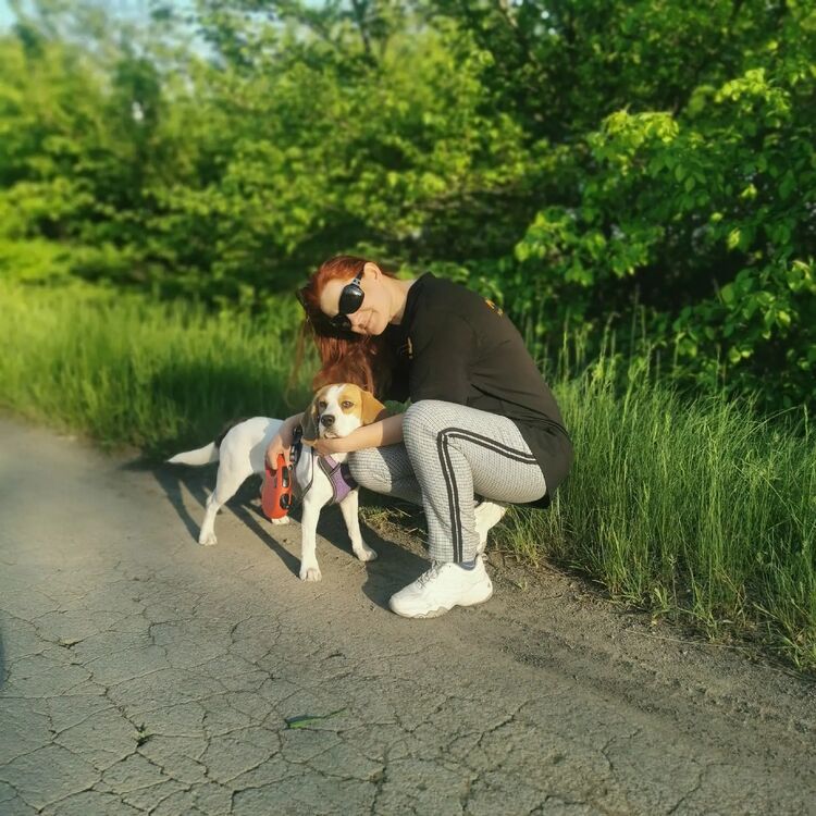 ���������� �����-���������, ���� ������� �����, 34 ����, ������������ ��� ������, ����� � ���������