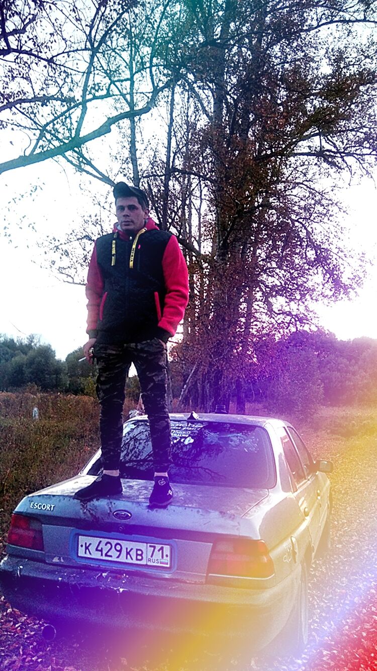 31526368  , 28 ,    