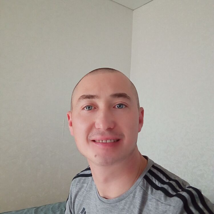  53854398  , 36 ,    -