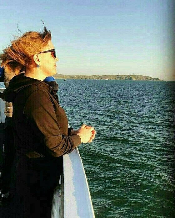 ���� 55311098 ������� �����, 54 ����, ���� ���������� � �����������