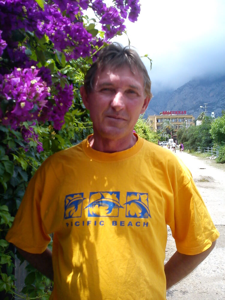  31767188  , 62 ,    -