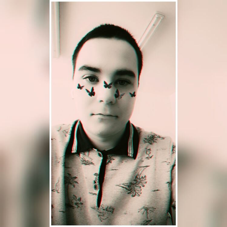  26226538  , 22 ,    