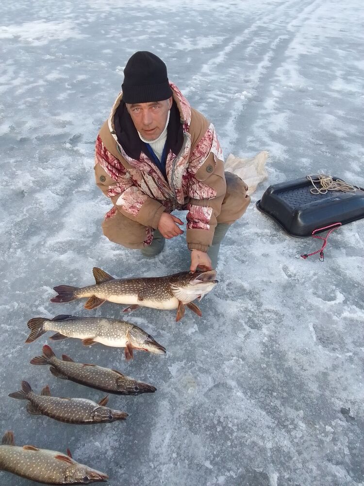 ���� 55470118 ������� ������, 48 ���, ���� ���������� � ����������