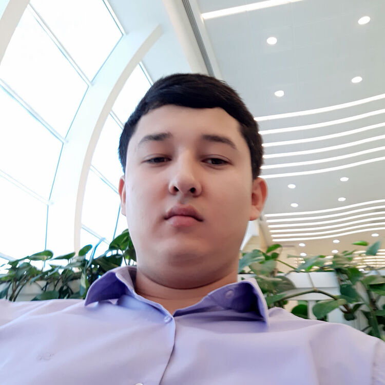  39613578  , 29 ,    -