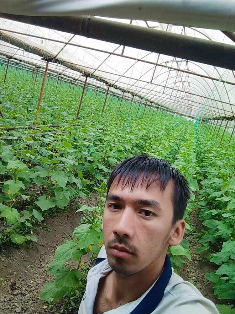 ���� 20666368 ������� ���, 31 ���, ���� ���������� � ��������