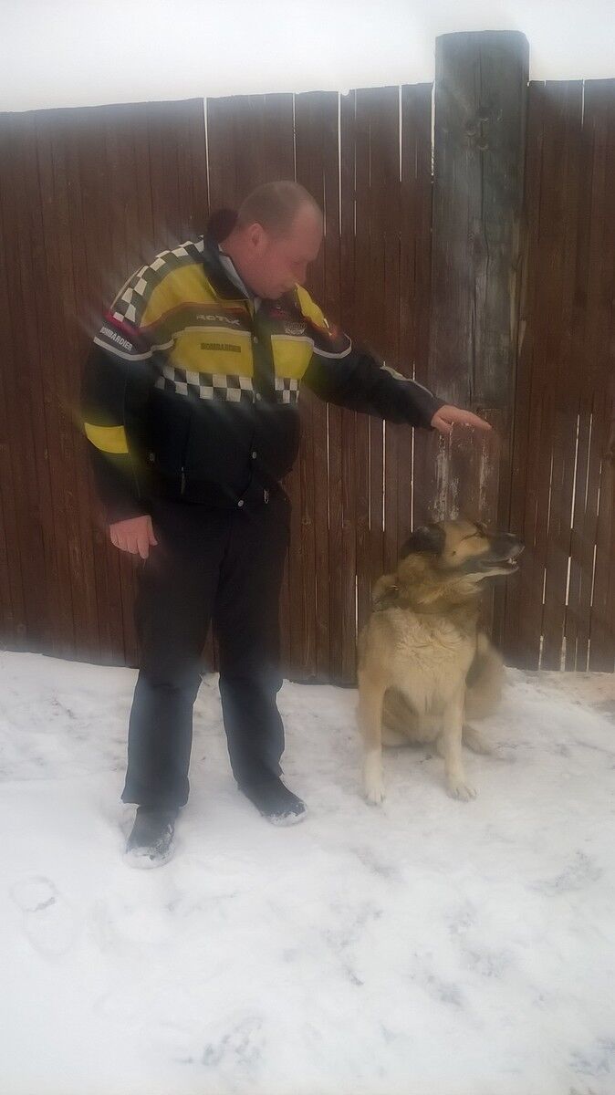 ���������� ������������, ���� ������� ����, 49 ���, ������������ ��� ������, ����� � ���������, c�������� ���������