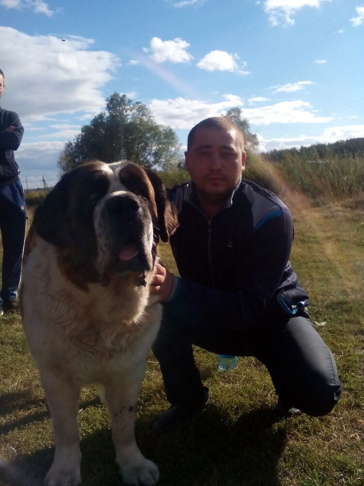 ���������� ��������, ���� ������� �������, 36 ���, ������������ ��� ������, ����� � ���������, c�������� ���������