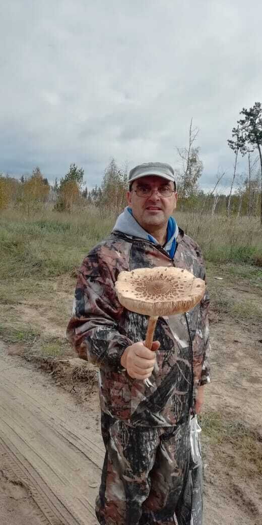  ,   , 53 ,   c 