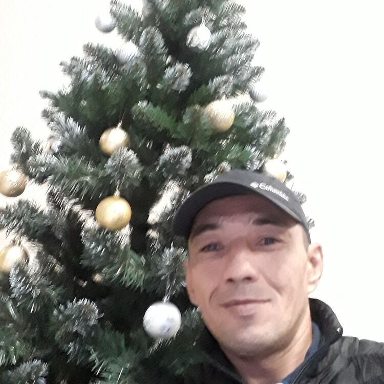 ���� 18721078 ������� �������, 50 ���, ���� ���������� � ����