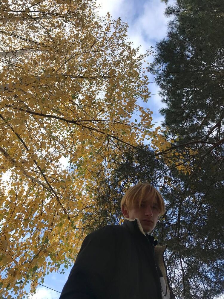 ���� 29928538 ����� �����, 22 ����, ���� ���������� � ��������