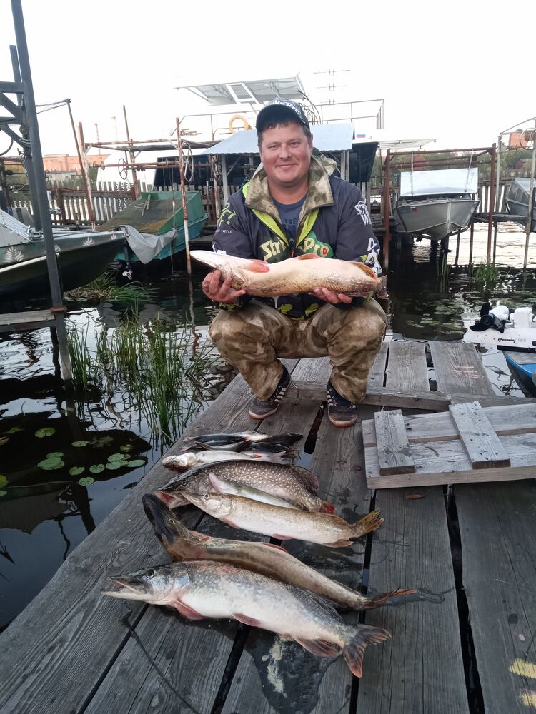 ���� 54235718 ������� ���������, 35 ���, ���� ���������� � ��������