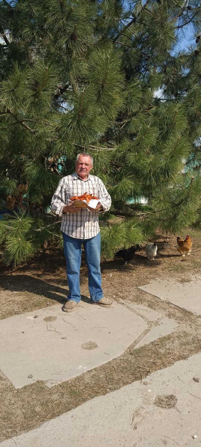 ���������� ����������, ���� ������� ���������, 67 ���, ������������ ��� ������, ����� � ���������