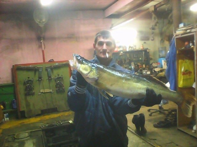  11757608  Denis, 43 ,    
