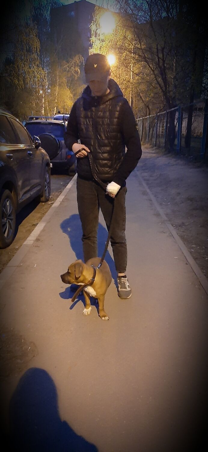 ���� 34917938 ����� ������, 25 ���, ���� ���������� � ������