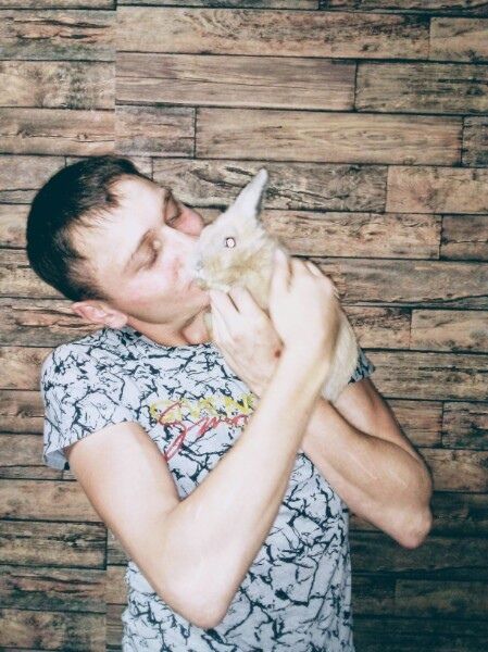 ���������� ���������� �����, ���� ������� �������, 31 ���, ������������ ��� ������, ����� � ���������, c�������� ���������, ���������