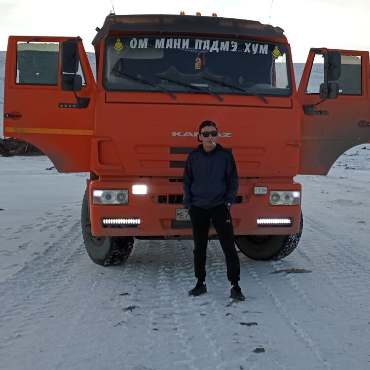 ���� 31956208 ������� ���������, 33 ����, ���� ���������� � ���������