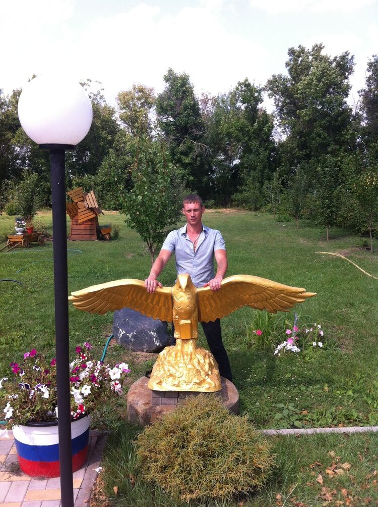  10356538  , 46 ,    -