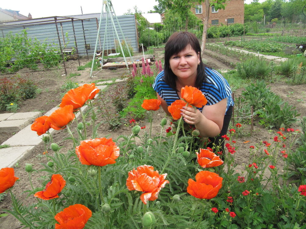  6843898  , 43 ,    -